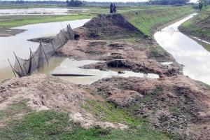 ছাতকে ‘ক্ষমতা’র কমিটিতে কৃষকের অনীহা