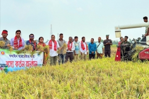 মাধবপুরে ইউএনও ও কৃষি কর্মকর্তা ব্যতিক্রম উদ্যোগ 