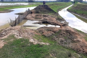 ছাতকে বাঁধের কাজে কচ্ছপগতি