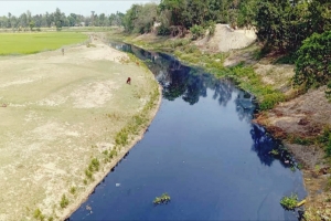 হবিগঞ্জে শিল্পের ‘বর্জ্যে’ কৃষির সর্বনাশ