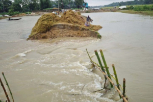মধ্যনগরে বাঁধ ভেঙে হাওরে ঢুকছে পানি