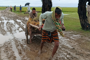 বিশ্বম্ভরপুরে ধান কাটার আনন্দে বাগড়া বেহাল সড়কের