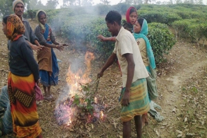কমলগঞ্জে হিম ঠান্ডায় স্থবির প্রান্তিক জনজীবন