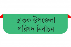 ভোটের মাঠে প্রার্থীরা সবাই আওয়ামী লীগের