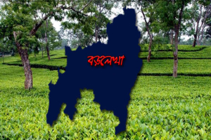 বড়লেখা মহিলার গলায় দা ধরে মোবাইল ফোন ছি'ন'তা'ই আসামি গ্রেফতার