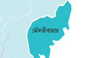 চালককে গাছের সঙ্গে বেঁধে অটোরিক্সা নিয়ে পালাল দুর্বৃত্তরা