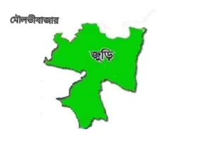 জুড়ীতে নিজ ঘর থেকে মা ও ছেলের ঝুলন্ত লাশ উদ্ধার