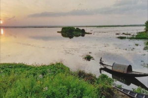 প্রকৃতির অপরূপ দৃশ্য শ্রীমঙ্গলের বাইক্কা বিল