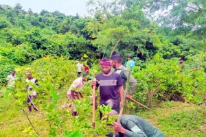 কমলগঞ্জে সাবেক কৃষিমন্ত্রী শহীদের দখলে থাকা বন উদ্ধার