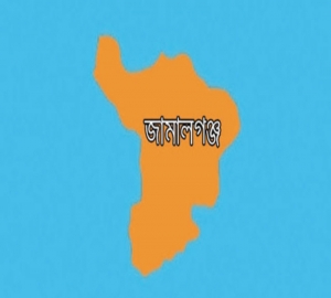 জামালগঞ্জে সরকারি গাছ কাটায় সৈকতের  বিরুদ্ধে মামলা