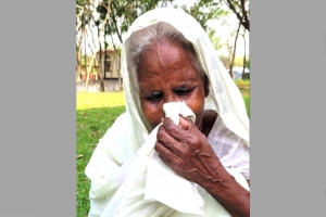 গাভী নিয়ে গেছে চুর, অঝোরে কাঁদছেন শ্রীমঙ্গলের চম্পাবতী