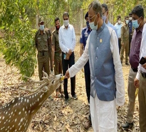 লাঠিটিলায় সাফারি পার্ক নির্মাণ আত্মঘাতী ও সর্বনাশা প্রকল্প, বলছেন পরিবেশবিদেরা