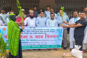 মাধবপুরে শাকসবজি, ধান বীজ, গাছের  চারা ও সার বিতরণ