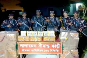 কুলাউড়ার সীমান্তবর্তী এলাকায় অভিযানে তিন লাখ টাকার পাতার বিড়ি জব্দ
