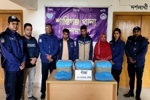 শান্তিগঞ্জে ১৭ কেজি গাঁজাসহ ৩ নারী-পুরুষ আটক