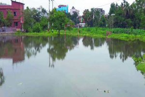টানা বৃষ্টিপাতে হবিগঞ্জ শহরের অলিগলিতে জলাবদ্ধতা, জনদুর্ভোগ চরমে