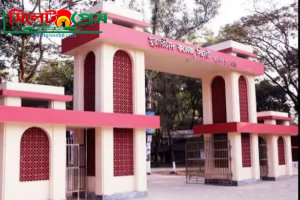 এমসি কলেজ শিক্ষার্থীকে মারধর ও টাকা ছিনতাই : থানায় অভিযোগ