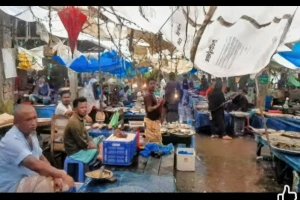 ফিসশেড না থাকায় বাহুবল বাজারে রোদবৃষ্টি মাথায় নিয়ে মাছ কেনাবেচা হচ্ছে