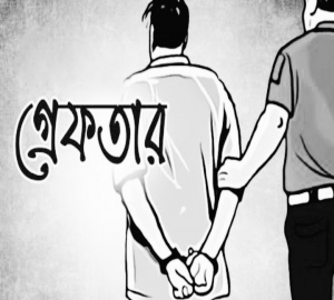 মধ্যনগরে আপন বোনকে হত্যার চেষ্টা, ভাই আটক