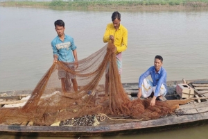 শামুক বিক্রি করে সংসার চলে ৫০ পরিবারের