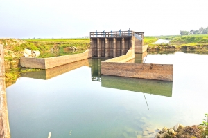 আজমিরীগঞ্জে সংস্কার হয়নি সড়ক, ফসল ডোবার শঙ্কা