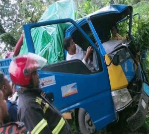 সুনামগঞ্জে নিয়ন্ত্রণ হারিয়ে গাছের সঙ্গে ট্রাকের ধাক্কা, গুরুতর আহত ২