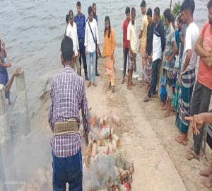জামালগঞ্জে ২টি কুনাজাল ও ১১০০ চাই পোড়ানো হয়েছে